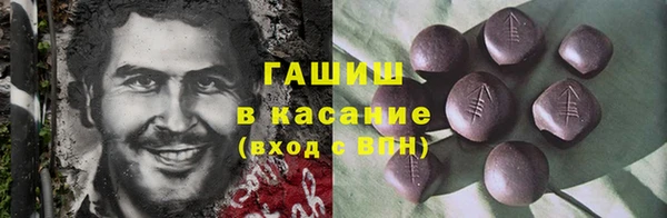 сатива Новозыбков