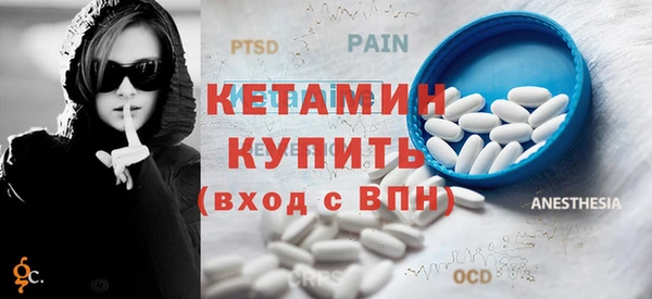 сатива Новозыбков