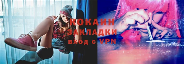 сатива Новозыбков