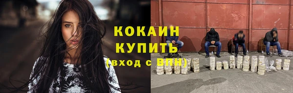 сатива Новозыбков