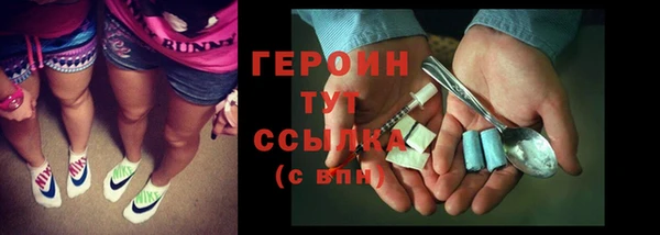 сатива Новозыбков