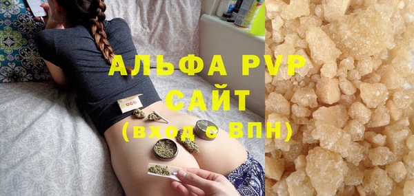 сатива Новозыбков