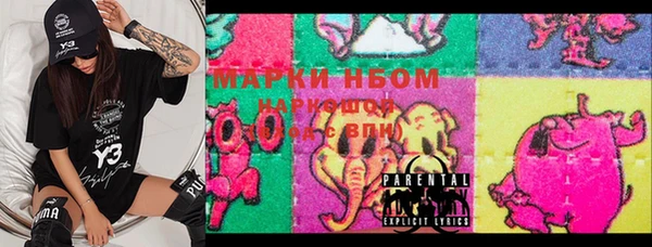 сатива Новозыбков