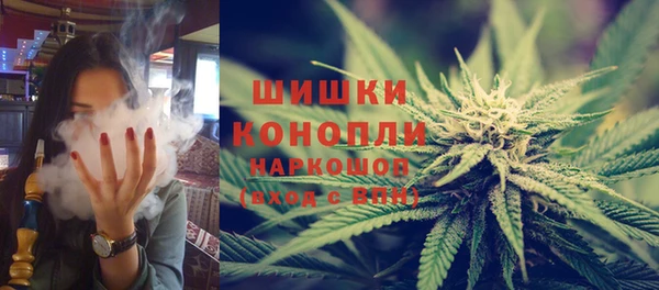 ПСИЛОЦИБИНОВЫЕ ГРИБЫ Новокубанск