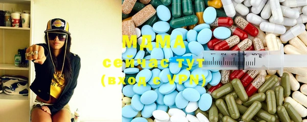 сатива Новозыбков