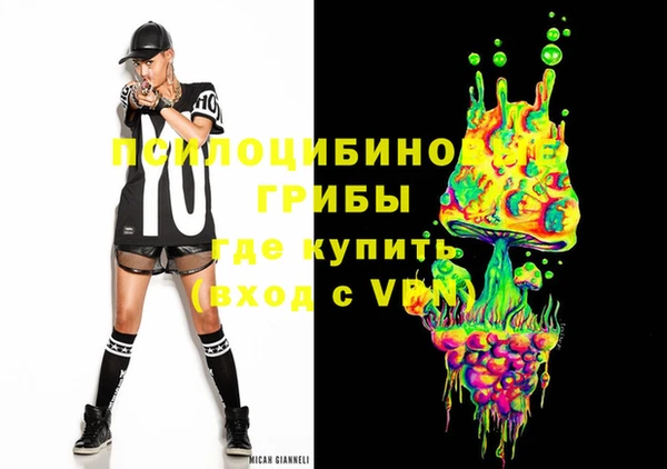 ПСИЛОЦИБИНОВЫЕ ГРИБЫ Новокубанск