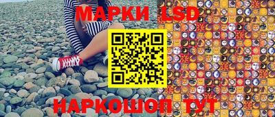 spice Гатчина