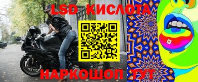 spice Гатчина