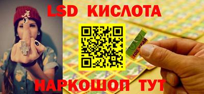 spice Гатчина