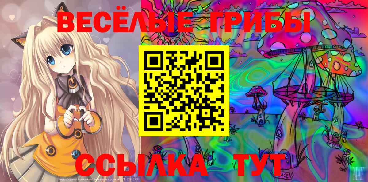 Псилоцибиновые грибы Psilocybine cubensis  Волжск 