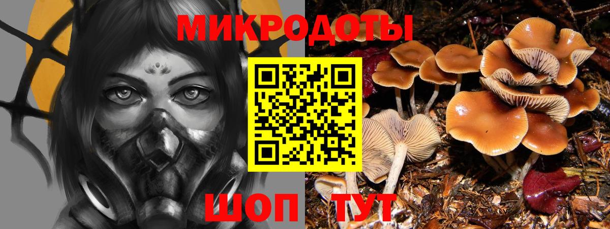 Волжск  Галлюциногенные грибы мухоморы  Вход с VPN 